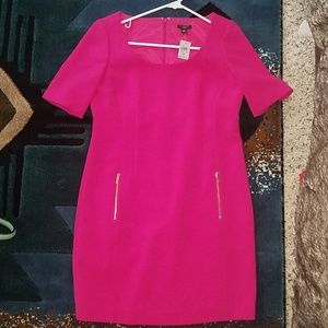 New with tags Hot pink darted Ann Taylor dress